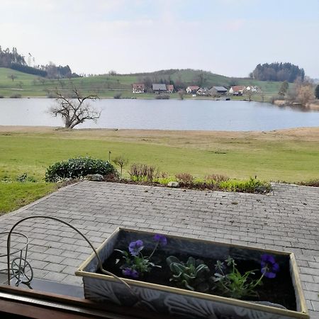 Gaestehaus Am Muttelsee Hotel Tettnang Buitenkant foto